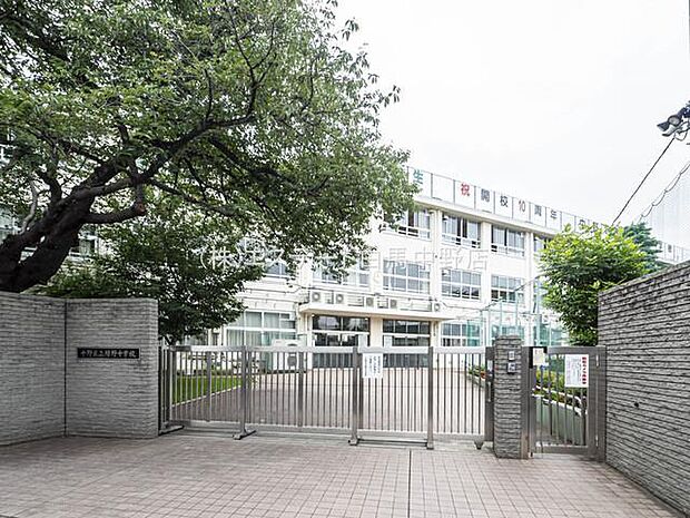 中野区立緑野中学校(1010m)