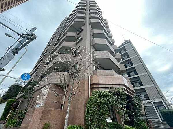 外観：313004659436