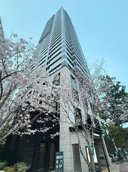 外観：313004692411