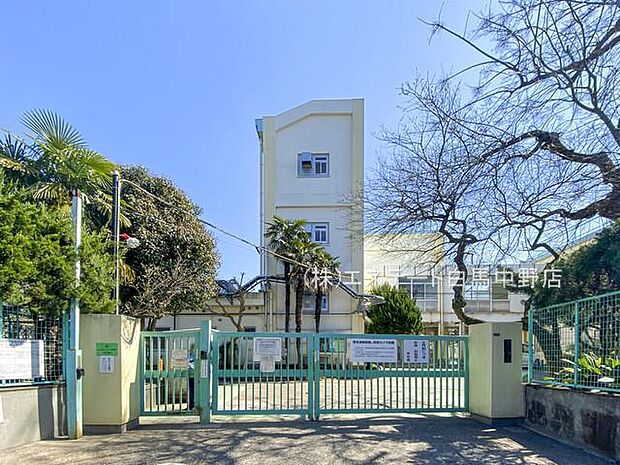 杉並区立西田小学校(300m)