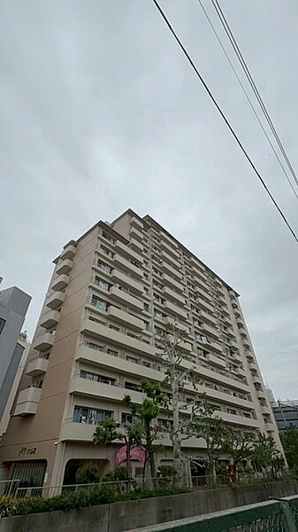 外観：313004824537