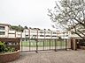 周辺：板橋区立桜川小学校（530m）