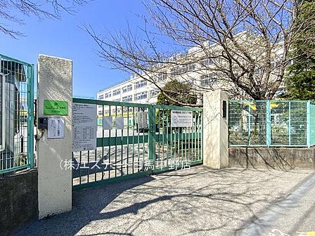 杉並区立四宮小学校(300m)