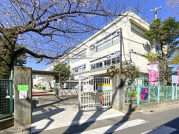 杉並区立済美小学校（710m）