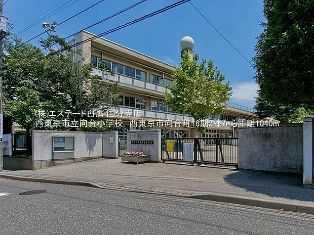 西東京市立向台小学校(190m)