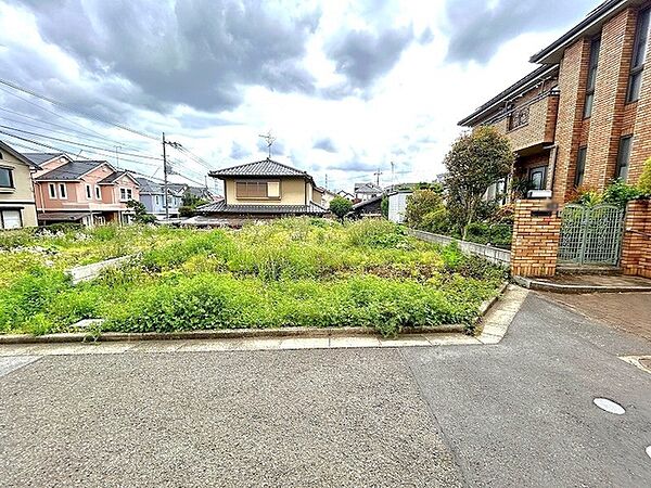 外観：313004512245