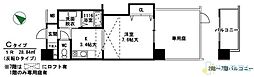 サウスアルカディア 1Kの間取図画像