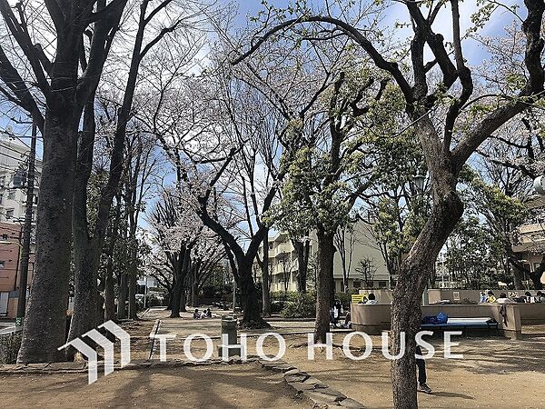 apartment 東京都世田谷区弦巻５丁目9-12
地図を見る