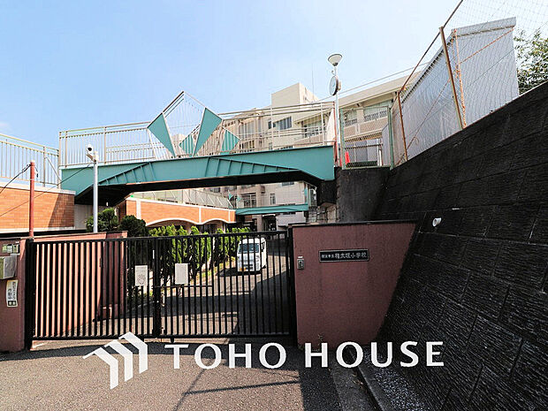 横浜市立権太坂小学校　距離550m