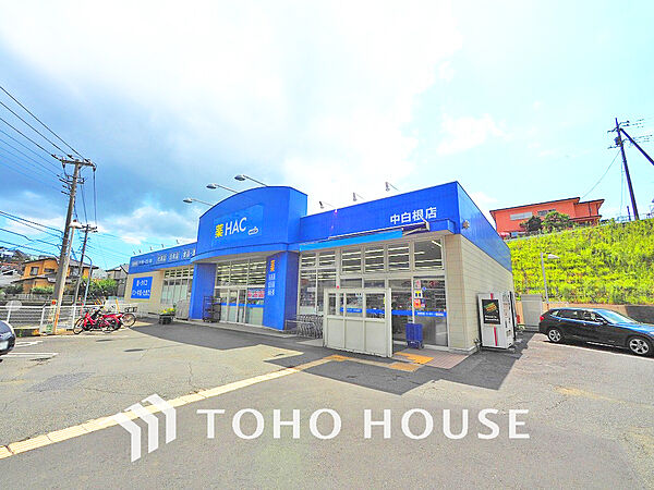 ハックドラック 中白根店　距離10ｍ