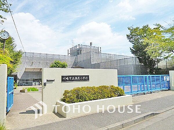 川崎市立稗原小学校　距離550ｍ