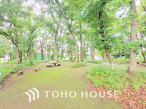 緑ヶ丘みんなの森　距離650ｍ