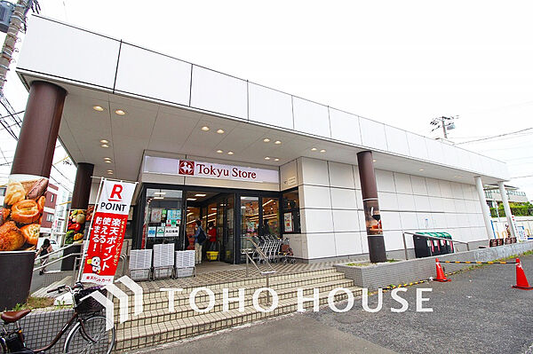 東急ストア 洗足店　距離500ｍ