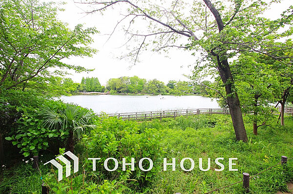 洗足池公園　距離900ｍ