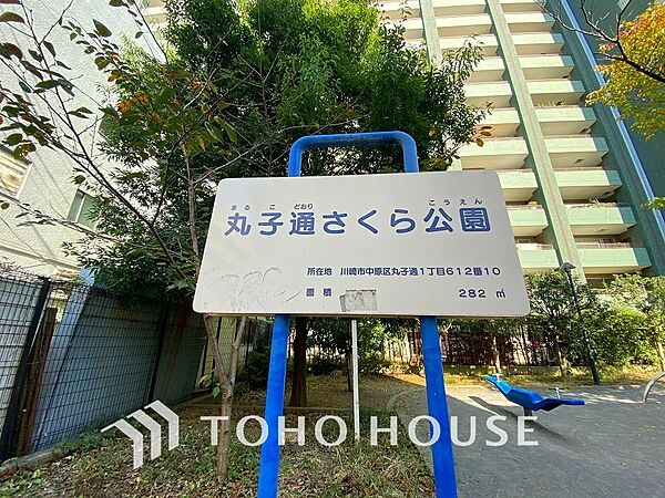丸子通さくら公園　距離1000ｍ