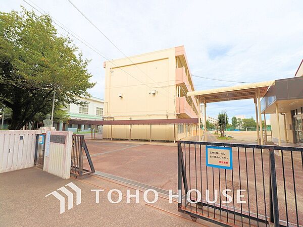 調布市立第三中学校　距離500ｍ