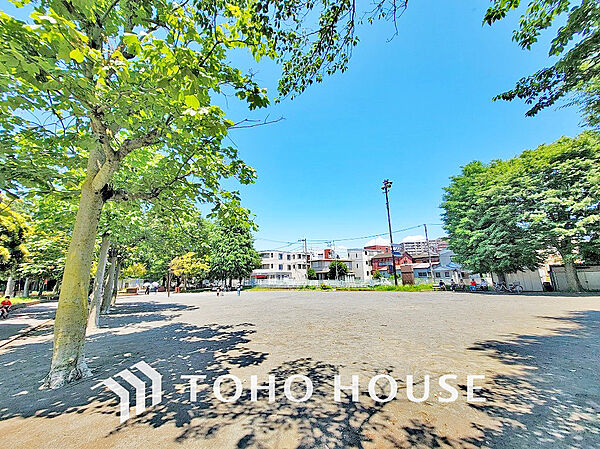入江川公園　距離600ｍ