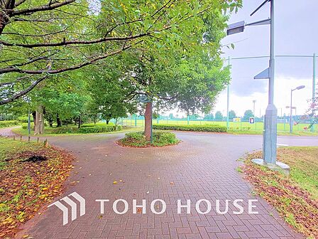 武蔵野の森公園 距離1500m