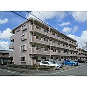 キャッスルローゼ 2階 築28年3ヶ月の賃貸物件