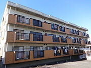 サンパレスセイワ 3階 築37年の賃貸物件