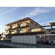 焼津駅より徒歩50分 1階 築26年7ヶ月の賃貸物件