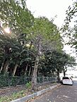 埼玉県鶴ヶ島市大字五味ヶ谷247-1：物件画像
