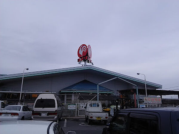 アルフラット 0202｜滋賀県彦根市稲枝町(賃貸アパート1LDK・2階・46.08㎡)の写真 その5