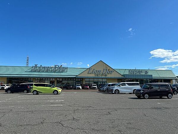 リオンドール大崎店まで徒歩9分（約650ｍ）。