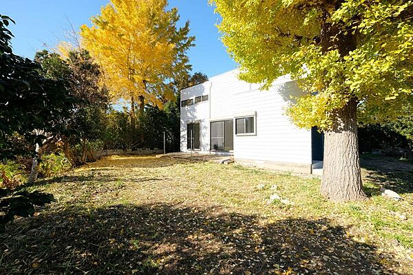 お庭にはイチョウの木が植えられています。黄葉の季節はとてもきれいです