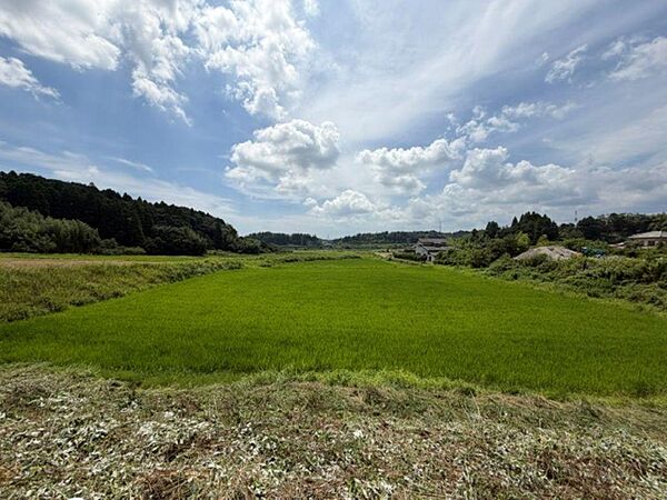 のどかな田園風景
