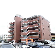 三島駅より徒歩7分 築27年4ヶ月 5階建の賃貸物件