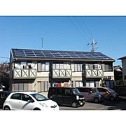 メゾンサカモトの賃貸物件