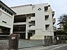 周辺：横浜市立森中学校　約420ｍ