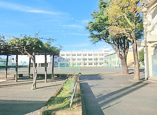 横浜市立南瀬谷小学校　約280ｍ