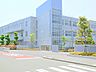 周辺：藤沢市立善行小学校　約1140ｍ