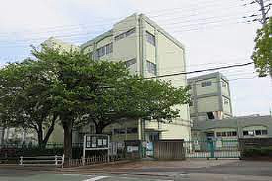 画像24:【小学校】神戸市立高津橋小学校まで374ｍ