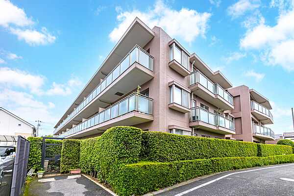 外観：313003771117