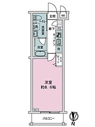 ウィリア矢口