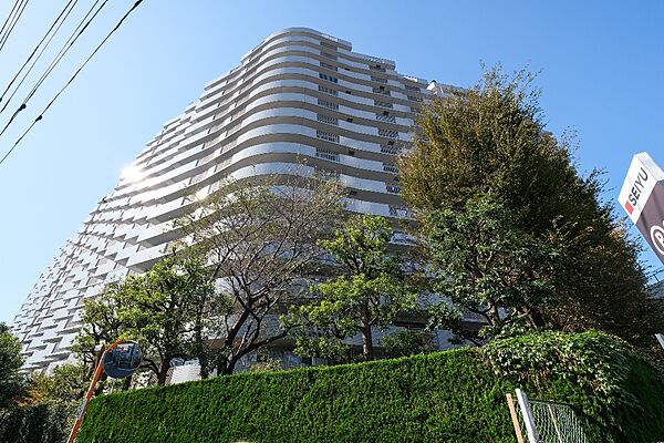外観：313004959505