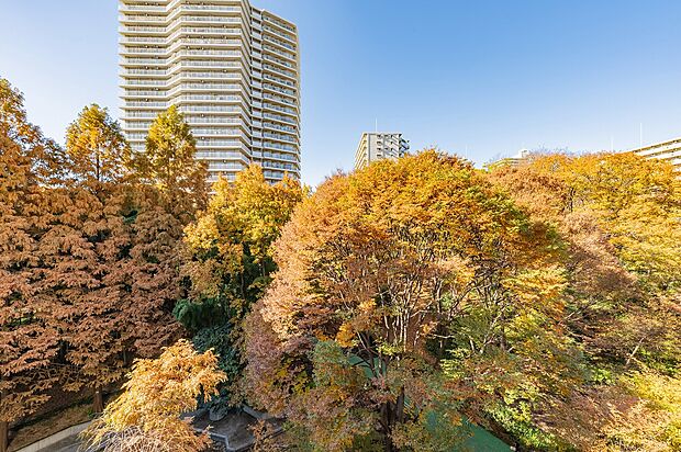 バルコニーから西方面を撮影（眺望は永続的に保証されません）