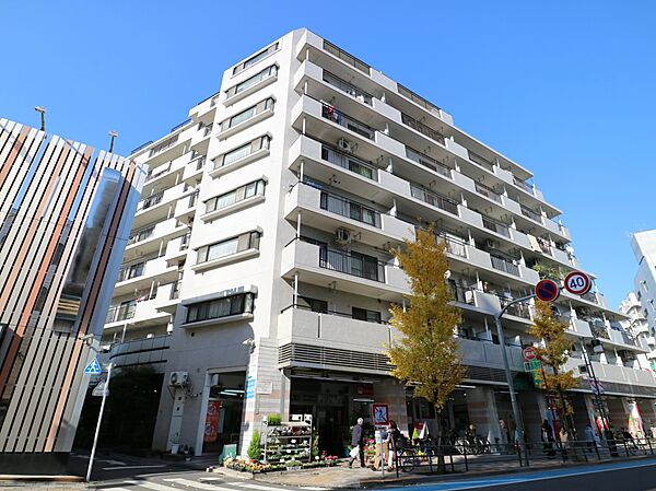 外観：313004895101
