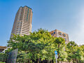 地上30階建て...