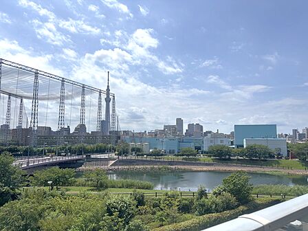 南西側バルコニーからの眺望