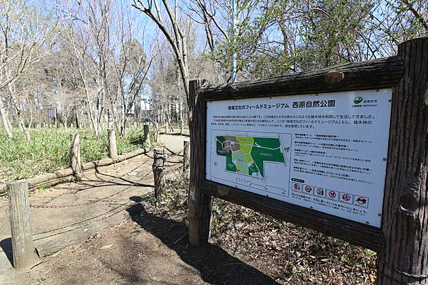 西原自然公園（120m）