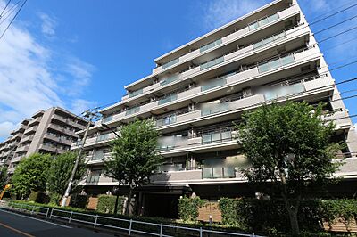 外観:外観 外観:外観