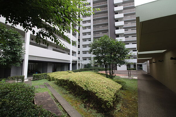 敷地内センターパティオ