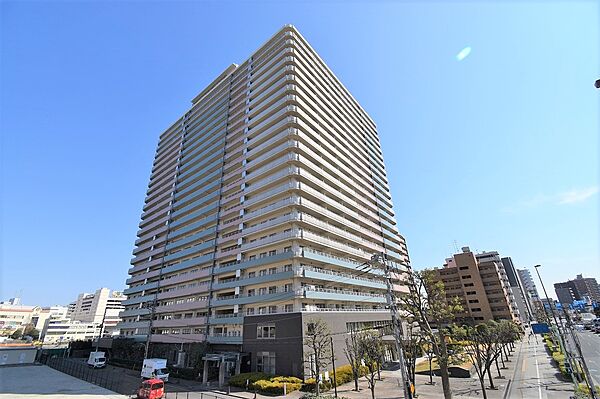 外観：313004853985