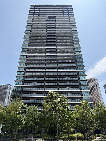 外観：313004546930