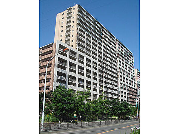 外観：314002704274