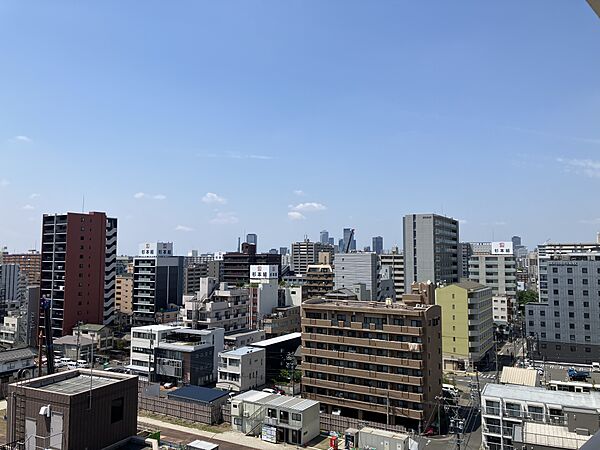 西側バルコニーからの南西側眺望。バルコニーからの眺望は永続的に保証されるものではありません